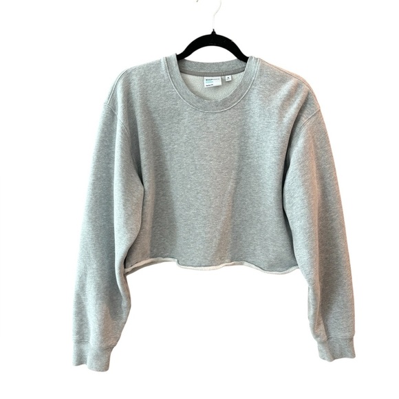 Aritzia TNA Cozy Fleece Perfect Fit Cropped Crewneck Sweatshirt. Grey Medium. - Picture 1 of 8